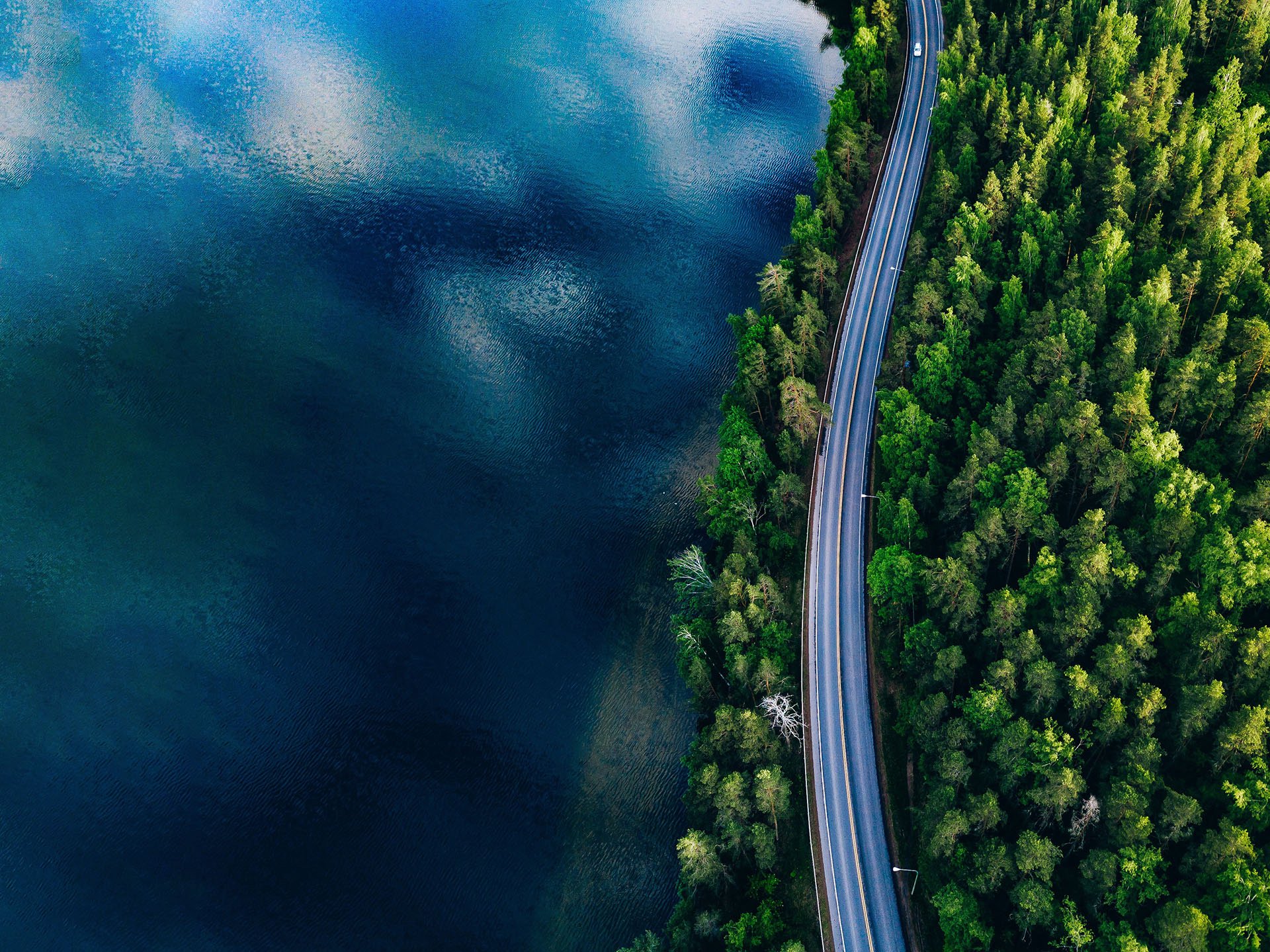 Path to Resilience