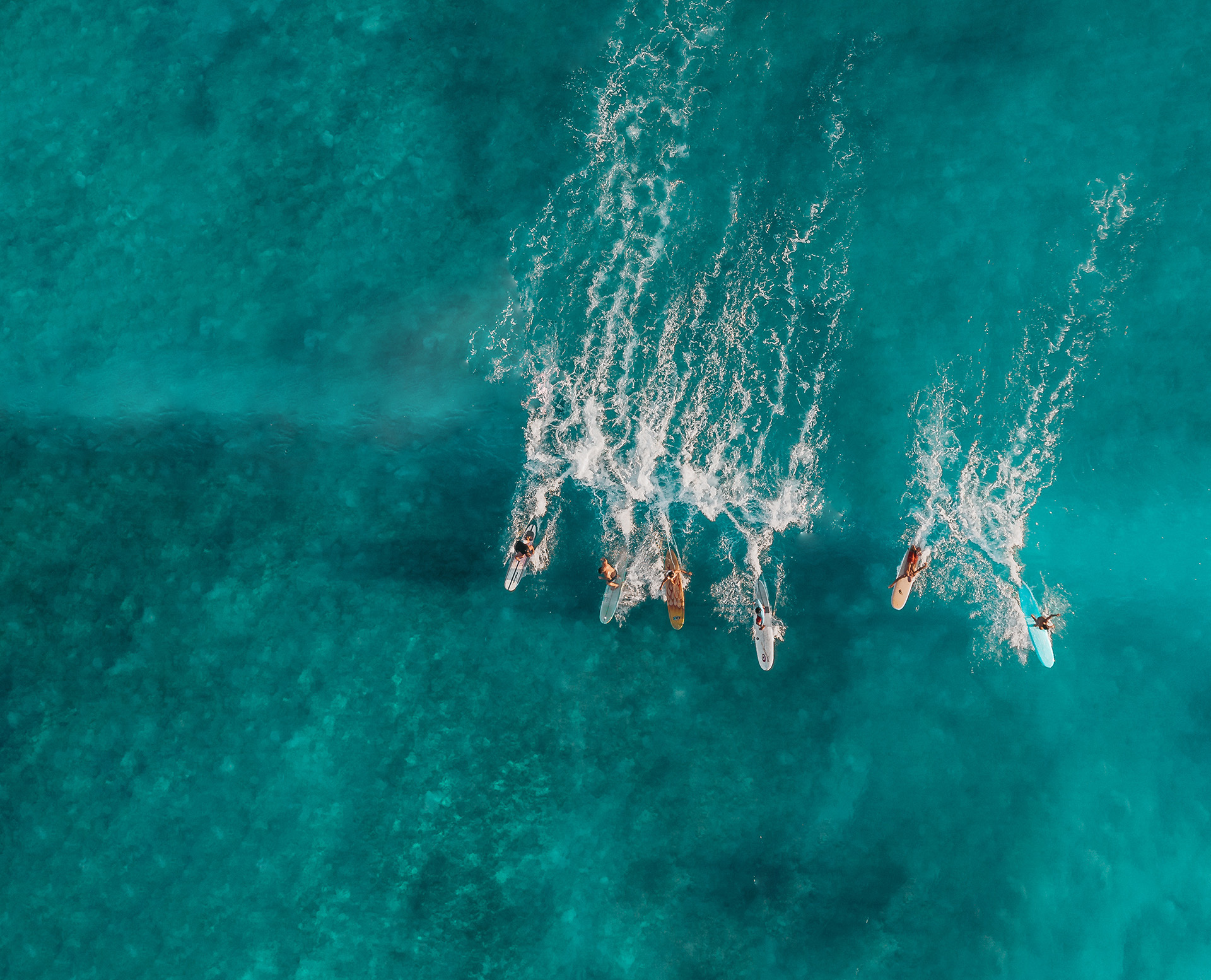 Group of People surfing together on a wave